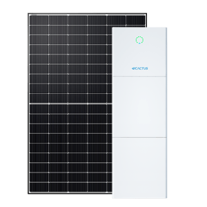 HT-SAAE + eCactus 10kw